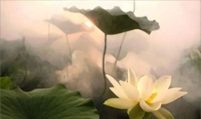 篮球训练话术技巧大全_0